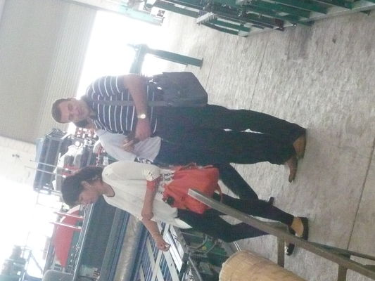 Maszyna do wykonywania płytek dachowych z błonnika cementu kolorowego ze szklanym profilem do budowy budynków